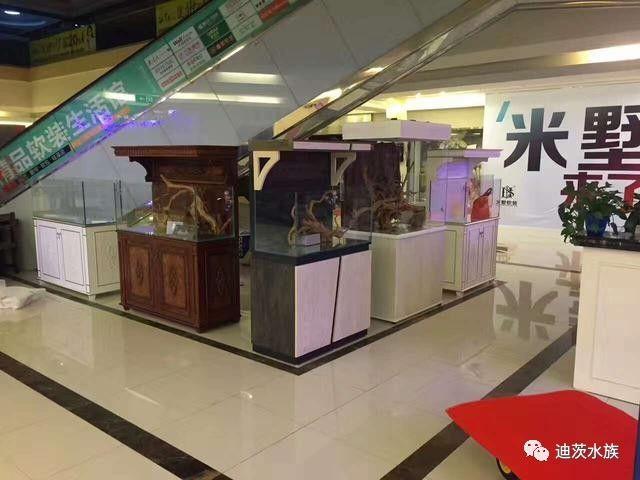 迪茨水族館加盟