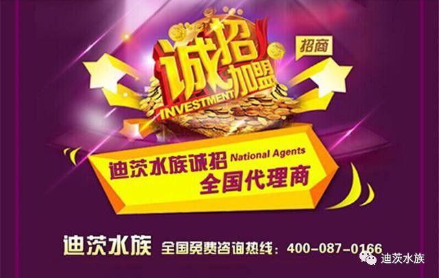 迪茨水族館加盟