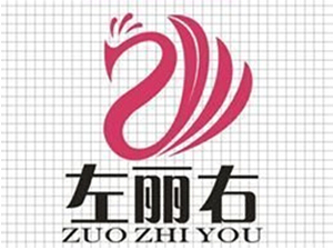 左麗右銀飾加盟費