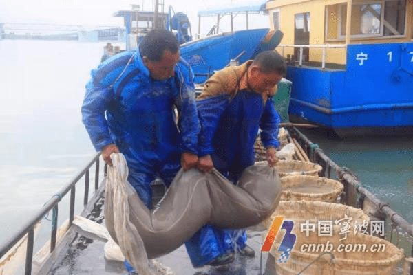蝦忙
