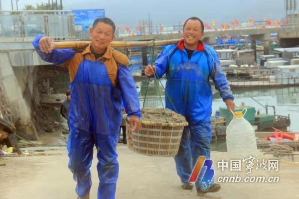 蝦忙