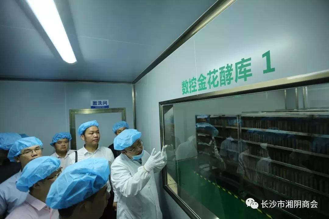 湘茶