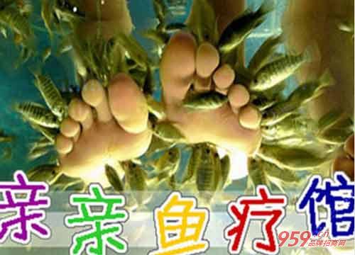 親親魚療館
