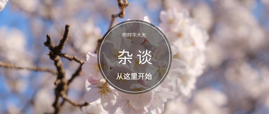 櫻花夢