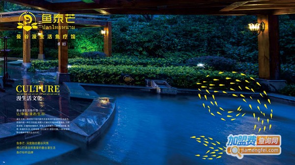 魚泰芒魚療館加盟費
