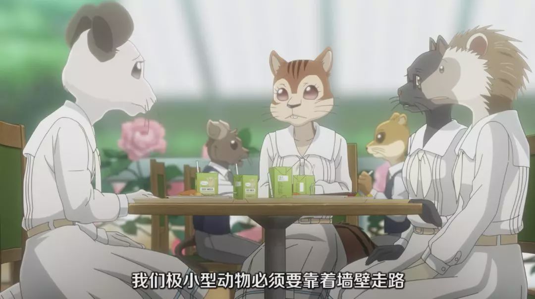 就草成人網