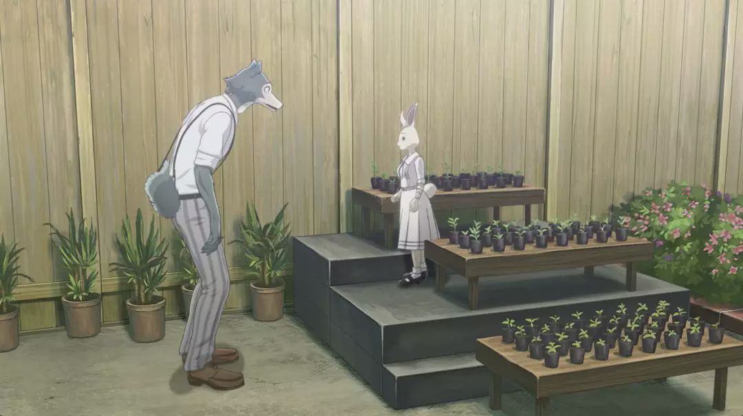 就草成人網