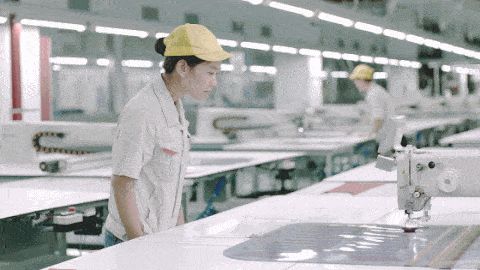 優(yōu)衣庫圖片
