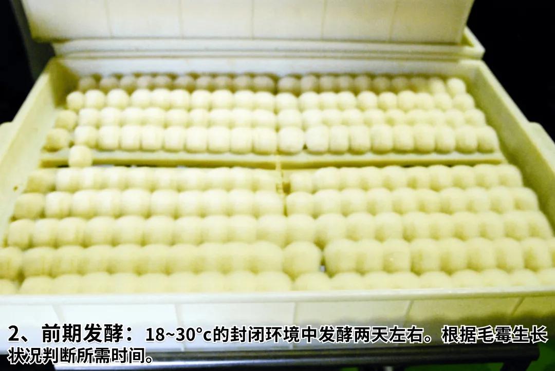 王致和豆腐乳