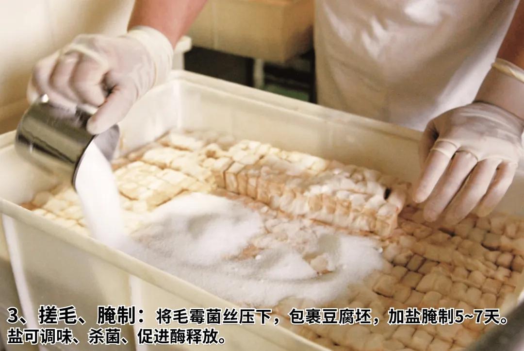 王致和豆腐乳