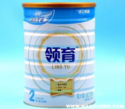 圣元天使奶粉