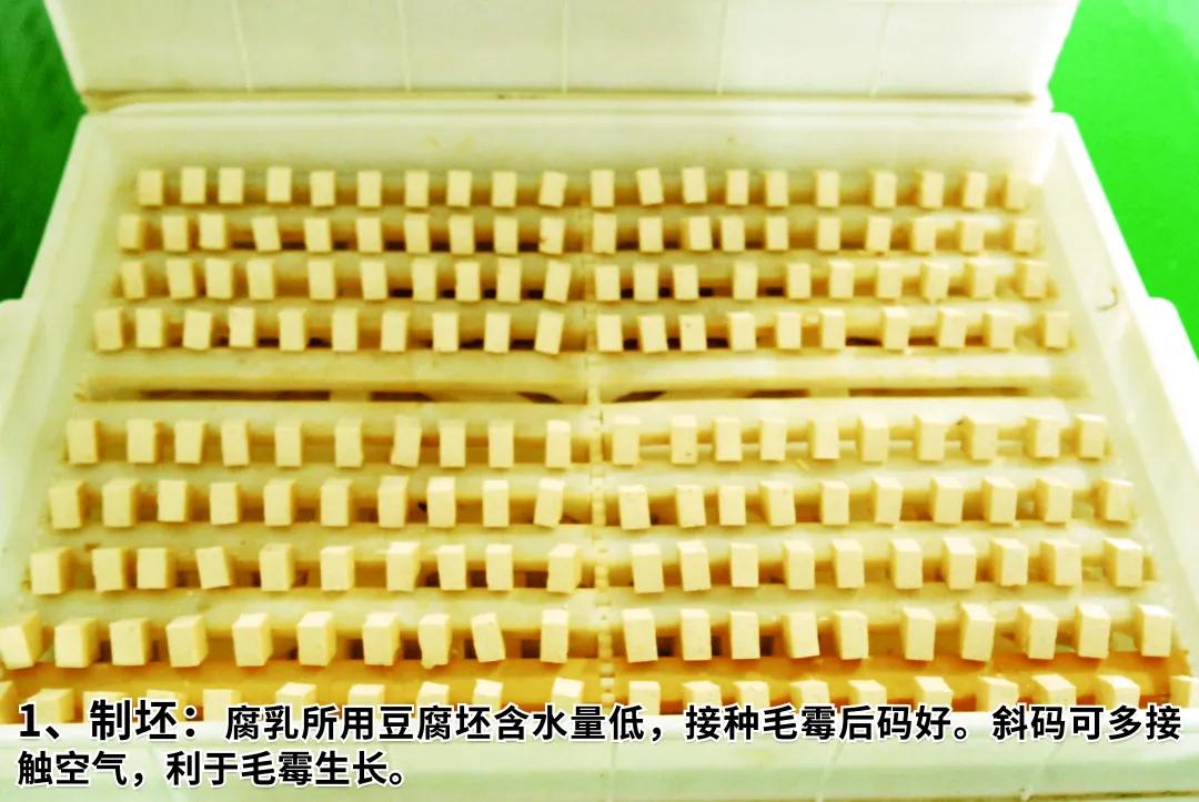 王致和豆腐乳