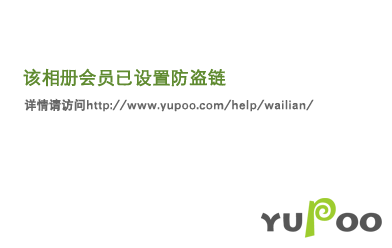 尚客茶品，電子商務茶行業領航者