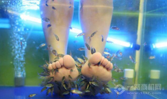 艾尚魚(yú)氧吧魚(yú)療館