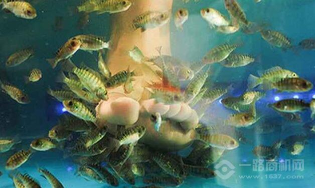 艾尚魚(yú)氧吧魚(yú)療館