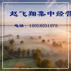 新款情侶服裝代理 情侶裝代銷 情侶服裝一件代發貨