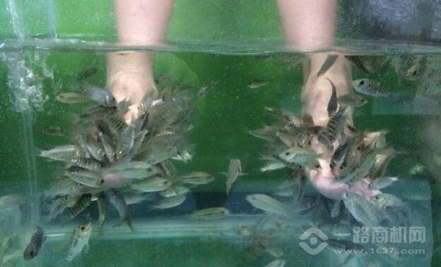 艾尚魚(yú)氧吧魚(yú)療館