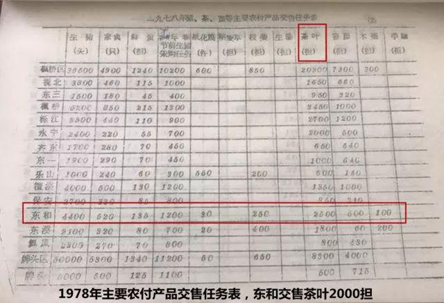 「發展」東和的鄉村振興，竟是源自一縷茶香？