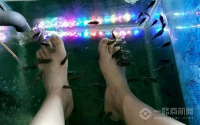 艾尚魚(yú)氧吧魚(yú)療館加盟