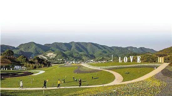 「發展」東和的鄉村振興，竟是源自一縷茶香？