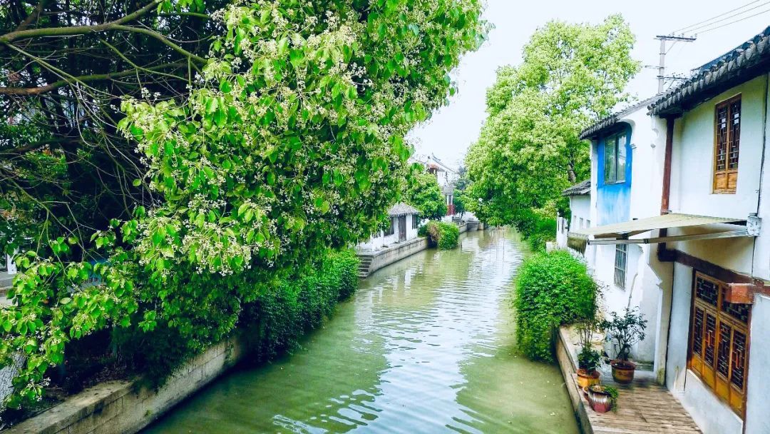 歡樂鄉村