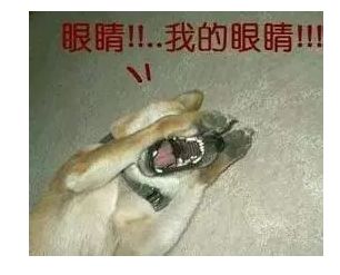膜法世家面膜
