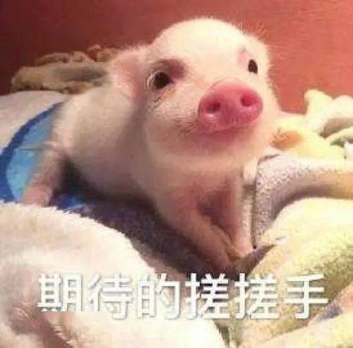 陜西肉夾饃