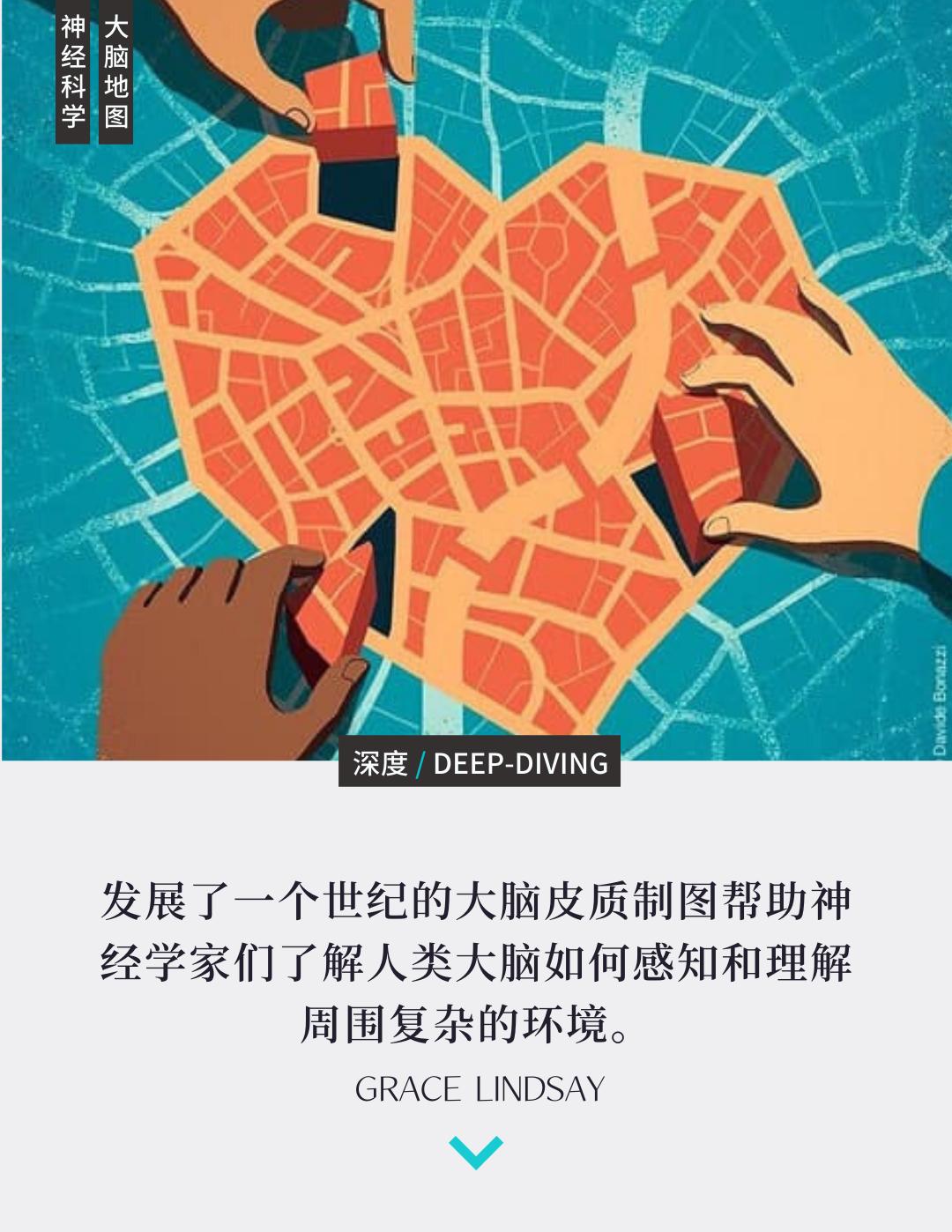 大腦地圖