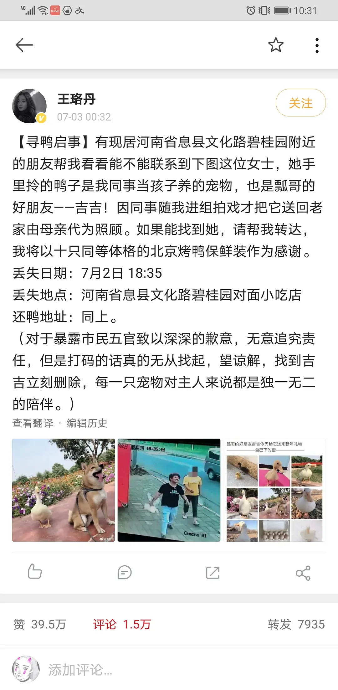 找鴨子