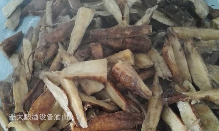 10.9雅大現場教學員做葛根酒