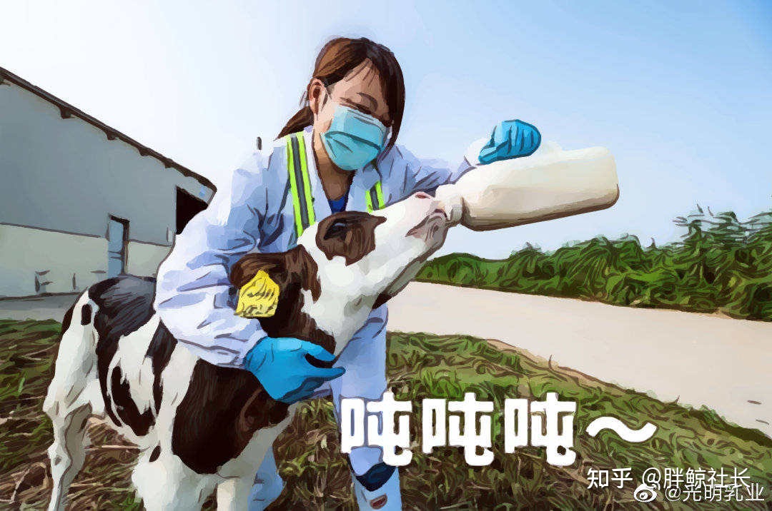 光明乳業(yè)官網(wǎng)