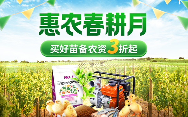 香豬養殖