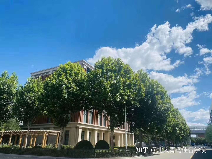 北大青鳥學校可靠嗎