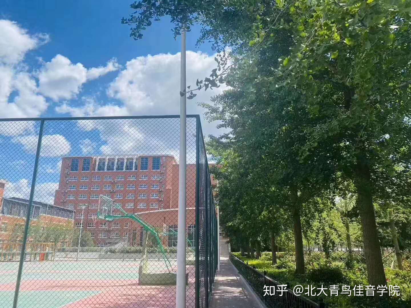 北大青鳥學?？煽繂?/></p>
<p>沒有哪所學?？梢员ＷC每個學生都能找到滿意的工作，北大青鳥的情況也是如此。在北大青鳥的學習過程中，班主任的日常監督和講師的指導性教學最終成為極少數侮辱母校互聯網的學生。然后，當這些學生抱怨學校的失敗時，他們首先要考慮自己是否做得很好？老師認真地教課嗎？作業是認真完成的嗎？實驗是認真完成的嗎？考試是否經過了仔細的測試？如果他們完全實現了目標，我相信他們自然不會再認為北大青鳥的學習時間是在浪費時間和金錢。如果您做不到所有這些事情，更不用說北京大學的玉鳥了，去北京大學嗎？你能得到一份高薪工作嗎？仍然不是，最好長大自己而不是抱怨。只有有了適當的心態，您才能看到不同的天空。</p><p>總結：以上內容就是北大青鳥學校可靠嗎(北大青鳥好不？是騙子學校嗎？)詳細介紹，如果您對創業項目感興趣，可以咨詢客服或者文章下面留言，我們會第一時間給您項目的反饋信息。</p>
          
        </div>
      </div>
      <!-- 上一篇與下一篇 -->
      <div   id="616116616"   class="newsdetailnextorprevlink"> 
      <a href="/article/154301.html">上一篇：慧之芳女裝(慧之芳衣服什么檔次)</a>      <a href="/article/154294.html">下一篇：老北京布鞋哪個牌子好(老北京布鞋哪個牌子好?)</a>      </div>
      <!-- 大家都在看 start -->
      <div   id="616116616"   class="all-look">
        <div   id="616116616"   class="tit">大家都在看</div>
        <div   id="616116616"   class="cont">
          <ul class="m-list">
            <li><a href="/article/73856.html" title="水中早教加盟(環球水童話水育早教加盟)">水中早教加盟(環球水童話水育早教加盟)</a></li>
            <li><a href="/article/29982.html" title="重慶火鍋50強(專家與網友齊上陣 重慶火鍋50強榜單新鮮出爐)">重慶火鍋50強(專家與網友齊上陣 重慶火鍋50強榜單新鮮出爐)</a></li>
            <li><a href="/article/125002.html" title="旺農貸怎么加盟(網商銀行旺農貸是什么？申請條件和額度是什么？)">旺農貸怎么加盟(網商銀行旺農貸是什么？申請條件和額度是什么？)</a></li>
            <li><a href="/article/63751.html" title="公牛世家皮鞋加盟(公牛世家皮鞋加盟，加盟公牛世家皮鞋十年布加迪威龍照樣拿下！)">公牛世家皮鞋加盟(公牛世家皮鞋加盟，加盟公牛世家皮鞋十年布加迪威龍照樣拿下！)</a></li>
            <li><a href="/article/189610.html" title="證件照怎么照(證件照怎么照好看)">證件照怎么照(證件照怎么照好看)</a></li>
            <li><a href="/article/169552.html" title="雞蛋羹的做法,雞蛋羹的做法水和雞蛋的比例是多少">雞蛋羹的做法,雞蛋羹的做法水和雞蛋的比例是多少</a></li>
          </ul>
          <div   id="616116616"   class="line"></div>
          <ul class="m-list">
            <li><a href="/article/160324.html" title="少女浴室二十天怎么回事,少女浴室自殺二十天腐爛成巨人觀，身上長滿蛆蟲（重口味慎入）">少女浴室二十天怎么回事,少女浴室自殺二十天腐爛成巨人觀，身上長滿蛆蟲（重口味慎入）</a></li>
            <li><a href="/article/98423.html" title="冰雪蜜城加盟(冰雪蜜城加盟費多少？開一個10平米的小店需要多少錢)">冰雪蜜城加盟(冰雪蜜城加盟費多少？開一個10平米的小店需要多少錢)</a></li>
            <li><a href="/article/53704.html" title="東風猛士民用版報價(東風猛士民用版2020款，東風猛士民用版20萬嗎)">東風猛士民用版報價(東風猛士民用版2020款，東風猛士民用版20萬嗎)</a></li>
            <li><a href="/article/21689.html" title="舊衣服回收多少錢一噸(2021年舊衣服統貨收多少錢一斤)">舊衣服回收多少錢一噸(2021年舊衣服統貨收多少錢一斤)</a></li>
            <li><a href="/article/44178.html" title="和天下多少錢一包 六款和天下香煙價格介紹">和天下多少錢一包 六款和天下香煙價格介紹</a></li>
            <li><a href="/article/148782.html" title="95781是什么電話(電話號碼查詢網)">95781是什么電話(電話號碼查詢網)</a></li>
          </ul>
        </div>
      </div>
      <!-- 大家都在看 end --> 
      
    </div>
    
    <!-- right --> 
    <!-- news_right start -->
    <div   id="616116616"   class="news-right"> 
      <div style="margin-bottom:14px;"><script src=/d/js/acmsd/thea1.js></script></div>
      <!--餐飲相關項目 start-->
      <div   id="616116616"   class="related-item">
        <div   id="616116616"   class="common-tit-2"> <em class="line"></em>
          <h2>相關加盟項目</h2>
        </div>
        <div   id="616116616"   class="cont">
          <ul>
            <li> <a href="/xiangmu/5086.html" class="item" title="有滋零食">
              <div   id="616116616"   class="picfocus"><img class="lazy" src="/96kaifa/themes/simpleboot3/public/xin/images/lazyBg3x2.jpg" data-original="http://www.dna-movie.com/d/file/96kaifa/201910241857/93babfa6a791d38a06b3f64ead7a7ed2.jpg" alt="有滋零食" style="height: 90px;"></div>
              <div   id="616116616"   class="tit">有滋零食</div>
              </a> </li>
            <li> <a href="/xiangmu/916.html" class="item" title="傻樂瓜子">
              <div   id="616116616"   class="picfocus"><img class="lazy" src="/96kaifa/themes/simpleboot3/public/xin/images/lazyBg3x2.jpg" data-original="http://www.dna-movie.com/d/file/96kaifa/201909221140/b046b4ab95b7ee67a3cce7d3f9737407.jpg" alt="傻樂瓜子" style="height: 90px;"></div>
              <div   id="616116616"   class="tit">傻樂瓜子</div>
              </a> </li>
            <li> <a href="/xiangmu/3733.html" class="item" title="元初食品">
              <div   id="616116616"   class="picfocus"><img class="lazy" src="/96kaifa/themes/simpleboot3/public/xin/images/lazyBg3x2.jpg" data-original="http://www.dna-movie.com/d/file/96kaifa/201909231744/4d34d8567c6b7daa6913f1a96a0f61a7.jpg" alt="元初食品" style="height: 90px;"></div>
              <div   id="616116616"   class="tit">元初食品</div>
              </a> </li>
            <li> <a href="/xiangmu/5823.html" class="item" title="浮力森林">
              <div   id="616116616"   class="picfocus"><img class="lazy" src="/96kaifa/themes/simpleboot3/public/xin/images/lazyBg3x2.jpg" data-original="http://www.dna-movie.com/d/file/96kaifa/201910242108/3b94c78fe55bf06ef5a9b21d1a6ee4cc.jpg" alt="浮力森林" style="height: 90px;"></div>
              <div   id="616116616"   class="tit">浮力森林</div>
              </a> </li>
            <li> <a href="/xiangmu/2871.html" class="item" title="薈寶化妝品">
              <div   id="616116616"   class="picfocus"><img class="lazy" src="/96kaifa/themes/simpleboot3/public/xin/images/lazyBg3x2.jpg" data-original="http://www.dna-movie.com/d/file/96kaifa/201909221314/89-5bc5ade132311.jpg" alt="薈寶化妝品" style="height: 90px;"></div>
              <div   id="616116616"   class="tit">薈寶化妝品</div>
              </a> </li>
            <li> <a href="/xiangmu/543.html" class="item" title="全季酒店">
              <div   id="616116616"   class="picfocus"><img class="lazy" src="/96kaifa/themes/simpleboot3/public/xin/images/lazyBg3x2.jpg" data-original="http://www.dna-movie.com/d/file/96kaifa/201909221118/qj1542967091534014679.jpg" alt="全季酒店" style="height: 90px;"></div>
              <div   id="616116616"   class="tit">全季酒店</div>
              </a> </li>
          </ul>
        </div>
      </div>
      <!--餐飲相關項目 end--> 
      <div style="margin-bottom:14px;"><script src=/d/js/acmsd/thea2.js></script></div>
      
      <!--創業故事 start-->
      <div   id="616116616"   class="zixun-item zixun-item-story">
        <div   id="616116616"   class="common-tit-2"> <em class="line"></em>
          <h2>創業故事</h2>
          <a href="/gushi/" class="more">更多+</a> </div>
        <div   id="616116616"   class="cont">
         <a href="/article/290.html" class="m-1">
          <div   id="616116616"   class="picfocus"> <img class="lazy" src="/96kaifa/themes/simpleboot3/public/xin/images/lazyBg3x2.jpg" data-original="http://www.dna-movie.com/d/file/96kaifa/201909240846/3296f8c36b194deeee0add67dfdfd1c0.jpg" alt="真實案例來講解，很很便當加盟優勢有哪些" style="display:inline;height:80px;"> </div>
          <dl class="m-1-a">
            <dt>真實案例來講解，很很便當加盟優勢有哪些</dt>
            <dd>那么經過一段時間的觀察和對比，它找到了市場中比較受歡迎的很很便當加盟品牌，并且還對它進行了一番深入的了解。</dd>
          </dl>
          </a>
          <ul class="m-list">
            <li><a href="/article/293.html">零食港灣加盟有前途嗎？80后小李開零食港灣加盟店成功創業</a></li>
            <li><a href="/article/287.html">燒烤加盟流程的流程是什么?輕松加盟，走向成功</a></li>
            <li><a href="/article/291.html">桃花源記加盟優勢是什么?每一條都是加盟的理由</a></li>
            <li><a href="/article/190.html">ofo小黃車聯合創始人張巳丁的創業故事</a></li>
            <li><a href="/article/292.html">港其淋便當加盟好不好?親身經歷告訴你</a></li>
        </div>
      </div>
      <!--創業故事 end--> 
      
      <!--創業問答 start-->
      <div   id="616116616"   class="zixun-item">
        <div   id="616116616"   class="common-tit-2"> <em class="line"></em>
          <h2>創業問答</h2>
          <a href="/wenda/" class="more">更多+</a> </div>
        <div   id="616116616"   class="cont">
         <a href="/article/375.html" class="m-1">
          <div   id="616116616"   class="picfocus"> <img class="lazy" src="/96kaifa/themes/simpleboot3/public/xin/images/lazyBg3x2.jpg" data-original="http://www.dna-movie.com/d/file/96kaifa/201909240848/44-1P2091510561M-lp.jpg" alt="兒童市場哪些項目最火爆？" style="display:inline;height:80px;"> </div>
          <dl class="m-1-a">
            <dt>兒童市場哪些項目最火爆？</dt>
            <dd>隨著人口的增加，而且的數量也是越來越多，兒童市場也在不斷擴大，因此很多投資者也都把目光轉向了兒童市場，兒童市場永遠是一個撈金的寶地；尤其是現在父母，都會把最好的都</dd>
          </dl>
          </a>
          <ul class="m-list">
            <li><a href="/article/475.html">加盟熟食店賺錢嗎，一年下來大概可以賺多少？</a></li>
            <li><a href="/article/434.html">一個不起眼的門面，如何才能做到盈利呢？</a></li>
            <li><a href="/article/479.html">開酒店的基本流程是什么，需要辦理什么手續？</a></li>
            <li><a href="/article/332.html">住宅小區附近開什么店好？</a></li>
            <li><a href="/article/425.html">適合女生做的小本生意有哪些？</a></li>
        </div>
      </div>
      <!--創業問答 end--> 
      <div><script src=/d/js/acmsd/thea3.js></script></div>
    </div>
  </div>
  
  <!-- 加盟咨詢 start -->
  
  <div   id="616116616"   class="xm-mesg" id="xm-mesg">
    <div   id="616116616"   class="xm-mesg-box">
      <div   id="616116616"   class="tit">
        <p class="p1">我對加盟感興趣，馬上<span>免費通話</span>或<span>留言！</span></p>
        <p class="p2">(24小時內獲得企業的快速回復)</p>
      </div>
      <div   id="616116616"   class="form-left" id="quick_liuyan_ad1">
        <div   id="616116616"   class="brand-logo"> <img class="lazy" src="/96kaifa/themes/simpleboot3/public/xin/images/lazyBg3x3.jpg" data-original="">
          <p>我們立即與您溝通</p>
        </div>
        <div   id="616116616"   class="Free_phone_bottom">
          <form action="/e/pl/doaction.php" method="post" name="saypl" id="saypl" onSubmit="return CheckPl(document.saypl)">
            <input type="text" id="Free_phone_text_1" maxlength="11" name="shoujihaoma" class="inpt" placeholder="請輸入手機號碼" >
            <a data-pointkey="XQ005-002">
            <input type="submit" id="" class="btn" onclick="tonghua()" value="免費電話">
            </a>
           	<input name="id" type="hidden" id="id" value="154297" />
            <input name="classid" type="hidden" id="classid" value="8" />
            <input name="enews" type="hidden" id="enews" value="AddPl" />
            <input name="repid" type="hidden" id="repid" value="0" />
            <input type="hidden" name="ecmsfrom" value="/article/154297.html">
            <input type="hidden" name="nomember" type="checkbox" id="nomember" value="1" checked="checked" />
            <input type="hidden" name="username" type="text" class="inputText" id="username" value="" />
            <input type="hidden" name="saytext" value="空">
          </form>
          <p class="tips"><span>溫馨提示:</span><br>
            1.此次通話將不會產生任何費用, 請放心使用</p>
        </div>
        <!-- </form> --> 
      </div>
      <div   class="616116616"   id="jmzx-cont">
        <div   id="616116616"   class="form-center"> 
            <!-- <form action="/plus/diy.html" enctype="multipart/form-data" method="post" id="msgform1"> -->
            <script>
              function CheckPl(obj)
              {
              if(obj.saytext.value=="")
              {
              alert("您沒什么話要說嗎？");
              obj.saytext.focus();
              return false;
              }
              return true;
              }
            </script>
            <form action="/e/pl/doaction.php" method="post" name="saypl" id="saypl" onSubmit="return CheckPl(document.saypl)">
              <div   id="616116616"   class="quick_liuyan_con">
                <div   id="616116616"   class="item">
                  <div   id="616116616"   class="inpt-box"> <span><b class="star">*</b>姓名:</span>
                    <input type="text" class="inpt-w1" value="" name="xingming" id="Name1">
                  </div>
                  <ul>
                    <li>
                      <input type="radio" id="man1" name="xingbie" checked="checked" value="先生">
                      <label for="man1">先生</label>
                    </li>
                    <li>
                      <input type="radio" id="woman1" name="xingbie" value="女士">
                      <label for="woman1">女士</label>
                    </li>
                  </ul>
                </div>
                <div   id="616116616"   class="item">
                  <div   id="616116616"   class="inpt-box"> <span><b class="star">*</b>電話:</span>
                    <input type="text" class="inpt-w1" value="" name="dianhua" id="Tel1" maxlength="11">
                  </div>
                  <div   id="616116616"   class="inpt-box"> <span>QQ/Email：</span>
                    <input type="text" class="inpt-w2" value="" name="qqemail" id="email" maxlength="11">
                  </div>
                </div>
                <div   id="616116616"   class="item">
                  <div   id="616116616"   class="inpt-box inpt-box-large"> <span>投資金額:</span>
                    <select id="InvestMoney1" class="select" name="jine" id="jine" data-value="0">
                    <option value="0" selected="selected">請選擇投資金額</option>
                    <option value="1萬以下">1萬以下</option>
                    <option value="1-5萬">1-5萬</option>
                    <option value="5-10萬">5-10萬</option>
                    <option value="10-20萬">10-20萬</option>
                    <option value="20-50萬">20-50萬</option>
                    <option value="50-100萬">50-100萬</option>
                    <option value="100萬以上">100萬以上</option>
                    </select>
                  </div>
                </div>
                <div   id="616116616"   class="item">
                  <div   id="616116616"   class="inpt-box inpt-box-large"> <span>加盟地區:</span>
                    <div   id="616116616"   class="item-right">
                      <select name="msgProvince1" id="msgProvince1" size="1" class="mselect " onchange="showSmalla(this.value)">
                        <option selected="selected" value="0">省/市 </option>
                      </select>
                      <select id="msgCity1" size="1" class= "mselect1" name="msgCity1" onchange="showXiana(this.value)">
                        <option selected="selected" value="0">地/州 </option>
                      </select>
                      <select id="msgXian1" size="1" class=" mselect2" name="msgXian1" onchange="resetAddressa()">
                        <option selected="selected" value="0">區/縣 </option>
                      </select>
                      <div   id="616116616"   class="box-address">
                        <input type="text" value="" name="diqu" id="Address1" />
                      </div>
                    </div>
                  </div>
                </div>
                <div   id="616116616"   class="item">
                  <div   id="616116616"   class="inpt-box inpt-box-area"> <span>留言:</span>
                    <textarea name="saytext" id="msg1" class="Message1" cols="30" rows="10" value=" "></textarea>
                  </div>
                </div>
                <div   id="616116616"   class="item item-bottom">
                  <div   id="616116616"   class="item-left">
                    <p class="p1"><b class="star">*</b>為必填</p>
                    <p class="p2">
                      <input type="checkbox" id="checkbox1" value="11"  checked="checked">
                      <label for="checkbox1">我已閱讀并同意<a href="/explain/" target="_blank">《36加盟網服務條款》</a></label>
                    </p>
                  </div>
                  <input type="submit" class="btn-mesSubmit" id="imgBtnUp1" onclick="mysubstr()" value="提交留言">
                </div>
              </div>
                  <input name="id" type="hidden" id="id" value="154297" />
                  <input name="classid" type="hidden" id="classid" value="8" />
                  <input name="enews" type="hidden" id="enews" value="AddPl" />
                  <input name="repid" type="hidden" id="repid" value="0" />
                  <input type="hidden" name="ecmsfrom" value="/article/154297.html">
                  <input type="hidden" name="nomember" type="checkbox" id="nomember" value="1" checked="checked" />
                  <input type="hidden" name="username" type="text" class="inputText" id="username" value="" /></td>
            </form>
            <!-- </form> --> 
        </div>
        <div   id="616116616"   class="form-right">
          <div   id="616116616"   class="tel">
            <p class="p1">7x24小時電話咨詢</p>
            <p class="p2">130*1234567</p>
          </div>
          <div   id="616116616"   class="connect"></div>
          <div   id="616116616"   class="cont">
            <h3>您可以根據下列意向,<span>快捷留言</span></h3>
            <ul id="quickMessage" class="quickMessage1">
              <li>想要加盟煲飯堂,請盡快聯系</li>
              <li>煲飯堂加盟流程怎樣的?</li>
              <li>煲飯堂加盟費是多少錢?</li>
              <li>煲飯堂有哪些扶持政策?</li>
              <li>煲飯堂能實地考察嗎?</li>
            </ul>
          </div>
        </div>
      </div>
    </div>
  </div>
  
  <!-- 加盟咨詢 end --> 
</div>
<div   id="616116616"   class="footer">
  <div   id="616116616"   class="w1200">
    <div   id="616116616"   class="ft-info">
      <div   id="616116616"   class="fl-left">
        <div   id="616116616"   class="ft-top"> <a href="/" class="ft-logo"><img src="/96kaifa/themes/simpleboot3/public/xin/images/ft-logo.png" alt=""></a> </div>
        <div   id="616116616"   class="ft-bottom"> <a  class="btn-confirm">在線客服</a> <a target="_blank"  title="QQ 207179833" class="btn-default">友鏈交換</a> </div>
      </div>
      <div   id="616116616"   class="ft-center">
        <div   id="616116616"   class="ft-nav">
          <ul>
            <!--li><a href="/">首頁</a>|  </li-->
            <li>   <a href="/guanyuwomen/"  rel="nofollow">關于我們</a>|  </li>
            <li> <a href="/sitemap.xml">Sitemap</a>|  </li>
            <li> <a href="/mianzeshengming/"  rel="nofollow">免責聲明</a>|  </li>
            <li> <a href="/falvguwen/"  rel="nofollow">法律顧問</a>|  </li>
            <li> <a href="/youqinglianjie/"  rel="nofollow">友情鏈接</a>|  </li>
            <li> <a href="/nav/" >網站地圖</a>|  </li>
            <li> <a href="/tousushanchu/"  rel="nofollow">投訴刪除</a></li>
          </ul>
        </div>
        <div   id="616116616"   class="ft-tel"> <span id="616116616"    class="tel">廣告合作：130*1234567  13123*12312</span> <span id="616116616"    class="info">（ 周一至周日09：00～00：00 ）</span> </div>
        <div   id="616116616"   class="ft-copy">
          <p>版權所有：36加盟網（www.dna-movie.com）    Copyright@2019-2025  瓊ICP備2021005743號 </p>
          <p>友情提示：投資有風險，咨詢請細致，以便成功加盟    <script>
var _hmt = _hmt || [];
(function() {
  var hm = document.createElement("script");
  hm.src = "https://hm.baidu.com/hm.js?fa0e7eba89c40e381ab3247ccc3da3dd";
  var s = document.getElementsByTagName("script")[0]; 
  s.parentNode.insertBefore(hm, s);
})();
</script>
</p>
        </div>
      </div>
      <div   id="616116616"   class="wx"> <img src="/96kaifa/themes/simpleboot3/public/xin/images/wx.png">
        <p>關注客服微信</p>
      </div>
    </div>
  </div>
</div>

<!-- piaofu start -->
<div   id="616116616"   class="right_float">
  <div   id="616116616"   class="unit unit1"> <a target="_blank"  title="QQ 207179833"> <img src="/96kaifa/themes/simpleboot3/public/xin/images/kefu.png" id="float-img0" >
    <div   id="616116616"   class="text"><span>在線<br/>
      咨詢</span></div></a>
  </div>
  <div   id="616116616"   class="unit unit2"> <img src="/96kaifa/themes/simpleboot3/public/xin/images/contactus.png" id="float-img1">
    <div   id="616116616"   class="text" ><span>在線<br/>
      留言</span></div>
    <div   id="616116616"   class="item item-zx" id="unit_left_consult1">
      <div   id="616116616"   class="item-box">
      <form action="/e/pl/doaction.php" method="post" name="saypl" id="saypl" onSubmit="return CheckPl(document.saypl)">
        <input type="text" name="shoujihaoma" class="inpt"  placeholder="請輸入手機號" id="unit_left_text" >
        <input type="hidden" name="url" id=